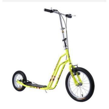 adult scooter bike