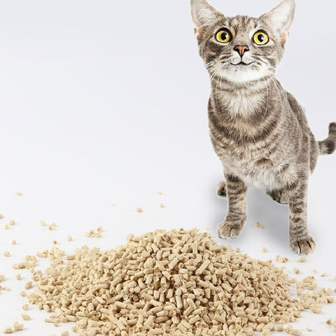 popular cat litter