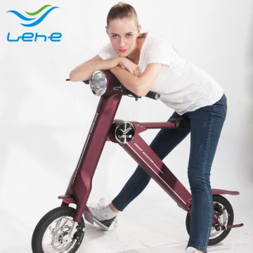 lehe bike