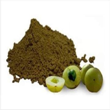 Organic Certified Amla Powder Organic Phyllanthus Emblica Powder