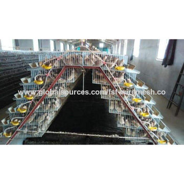 Commercial Quail Broiler Layer Cage For Sale Global Sources