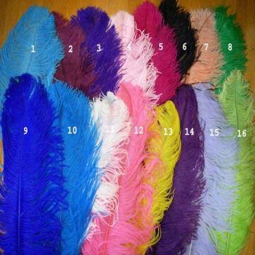 ostrich plume feathers