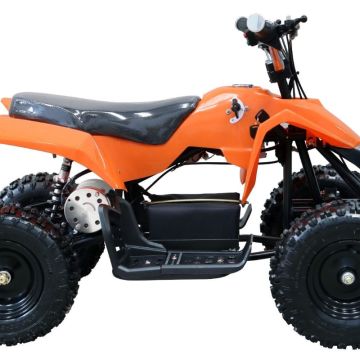 24v quad bike