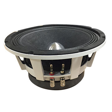 speaker mid 10 inch