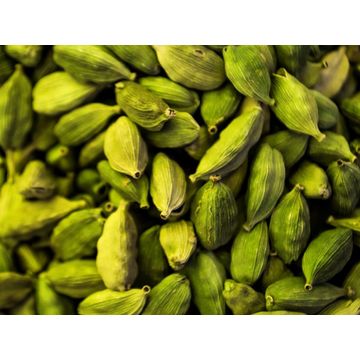 Germany Premium Quality Green Cardamom For Export From Kgcpl On Global Sources Seasonings Condiments Spices Herbs Products Single Spices Herbs Spices Herbs Product