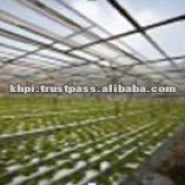 Transparent Film For Green House Global Sources