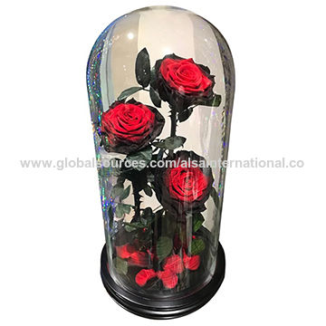 Oem Supply Gl Dome Bell Jar With Base Global Sources Oem Supply Gl Dome Bell Jar With