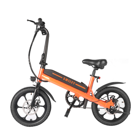 China Electric Bike TFSMILEE 16