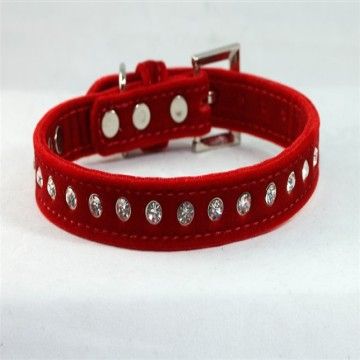 collar belt for dogs