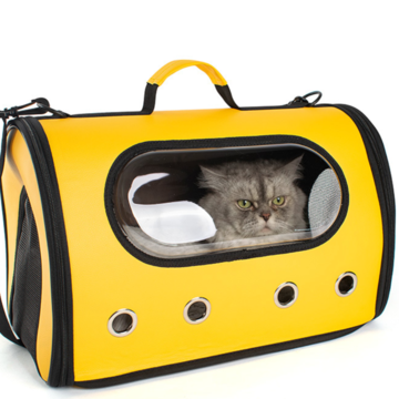 custom pet carrier