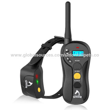 best pet training collar