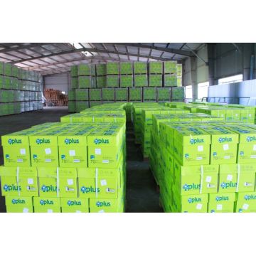 70gsm 80gsm A4 A5 White Office Paper Copy Manufacturers Thailand 70gsm Aaa Is Supplied By Manufacturers Producers Suppliers On Global Sources Double A Artmuang Paper Company Ltd 1 35 10