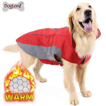 heated dog jacket