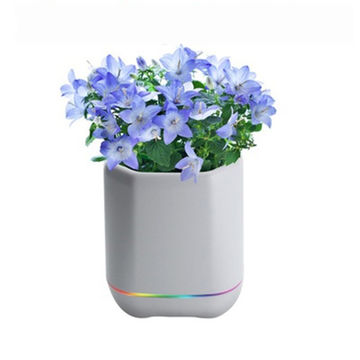 bluetooth flower