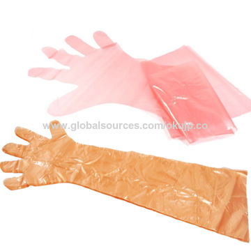 veterinary gloves