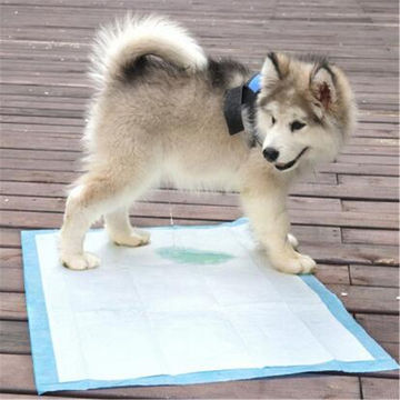 amazonbasics puppy pads