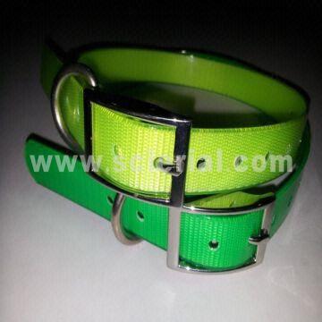 dayglo dog collars