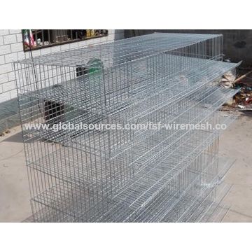 Guangzhou Layer Quail Cages For Sale Global Sources