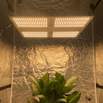Ip67 600w Full Spectrum Samsung Lm301h 660nm Led Grow Light 4ft Led Grow Light Bar Global Sources