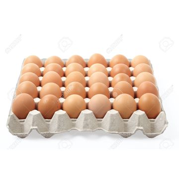 table eggs fertile/ hatching chicken egg/ broiler chicken eggs