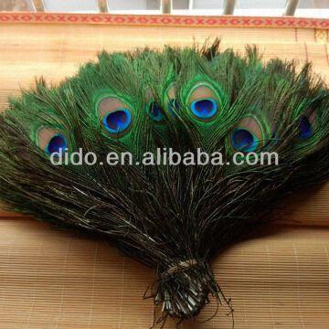 Party Decoration Natural Peacock Feather Factory Cheap Price