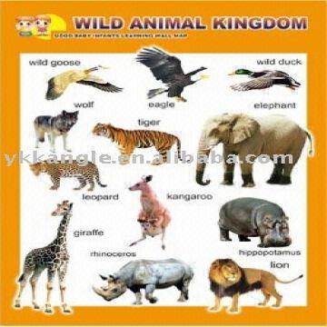 African Animals Chart