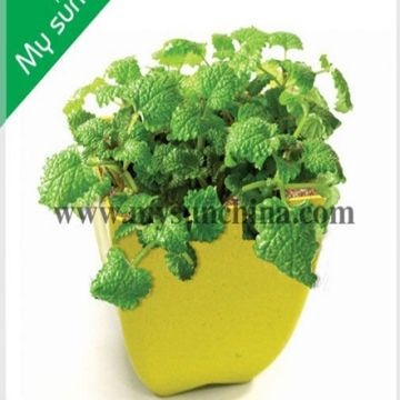 Bamboo Fibre Biodegradable And Eco Friendly Flower Pots Global Sources China Bamboo Fibre Biodegradable And Eco Friendly Flower Pots