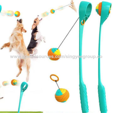 auto throw dog toy
