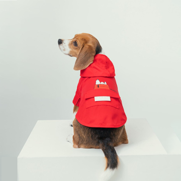 beagle raincoat