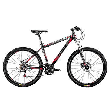 cheap mountain bike with disc brakes