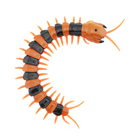 centipede cat toy