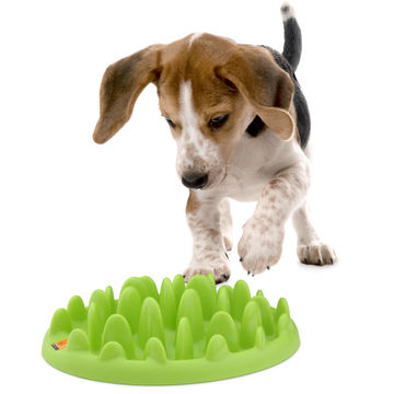 China Hot Selling Cat Dog Interactive Feeder From Xiamen