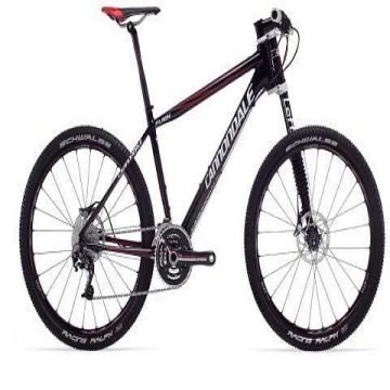 cannondale flash 2010