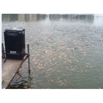 Fish Shrimp Pond Automatic Feed Feeder Fish Feed Feeder Global