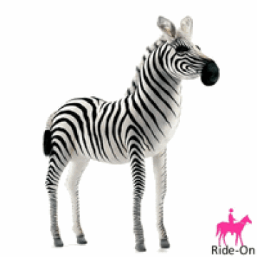 hansa zebra