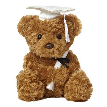 teddy bear graduation gift