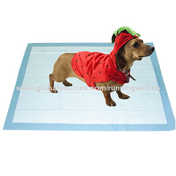 disposable dog mats