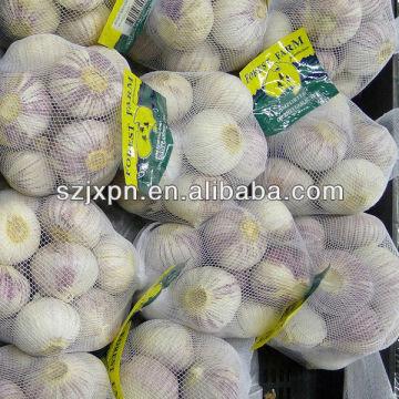 garlic net bag