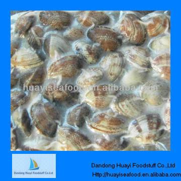 giant clam meat