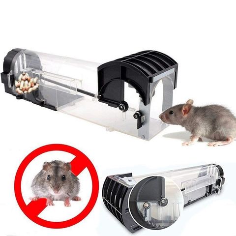 China Mousetrap Safe Firm Transparent Household Mouse Catcher Plastic ...