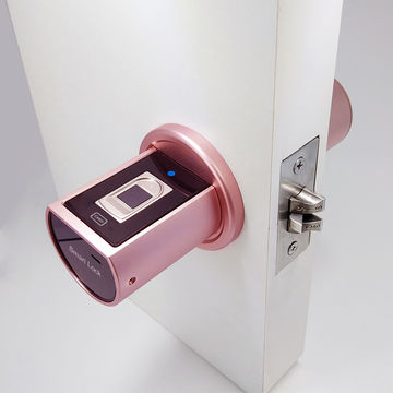 China Smart Wifi Wireless Controlled Fingerprint Door Lock Handle