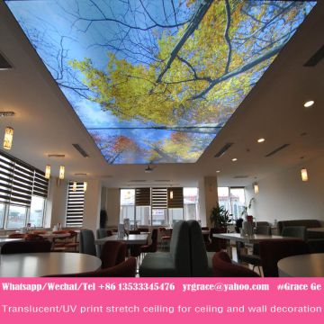 New Arrival Custom Made Entertainment Wholesale Pvc Ceiling