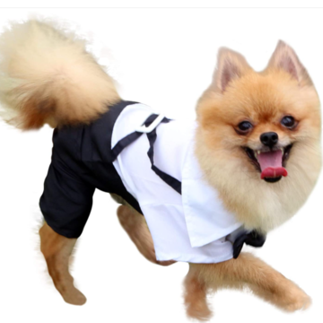 Persiga el traje de la corbata de lazo del traje del animal doméstico de la  ropa, la ropa del perro, los smokinges y los vestidos de boda elegantes |  Global Sources