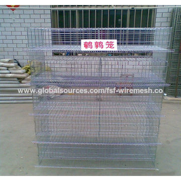 Layer Quail Bird Cages