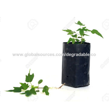 plant nursery plastic bolsas