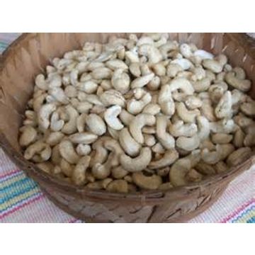raw cashew nut price