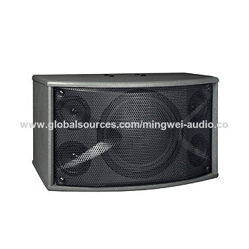 speaker karaoke 10 inch