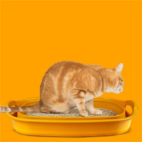 flushable clumping cat litter
