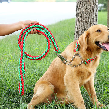 braided nylon dog leash
