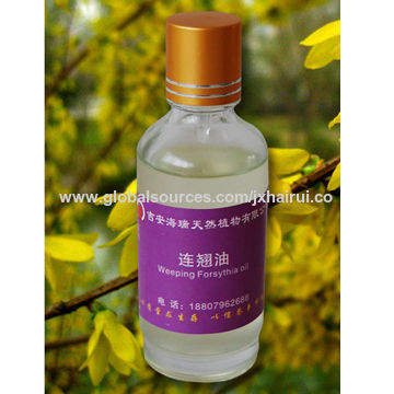 Natural Forsythia Essential Oil Global Sources